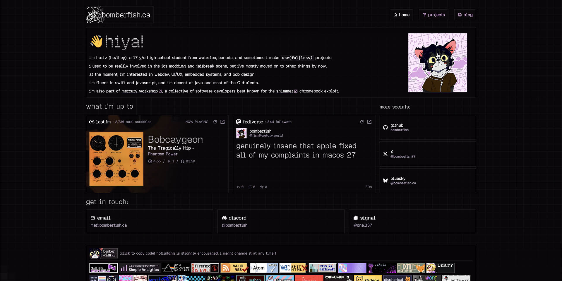 A screenshot of this website